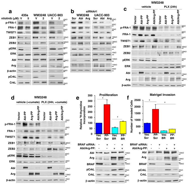 https://cdn.ncbi.nlm.nih.gov/pmc/blobs/5cad/5552414/0d6de95cad81/nihms855383f4.jpg