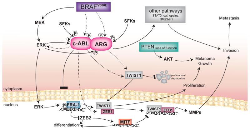https://cdn.ncbi.nlm.nih.gov/pmc/blobs/5cad/5552414/371bf458f6a8/nihms855383f7.jpg