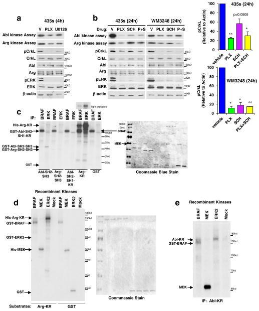 https://cdn.ncbi.nlm.nih.gov/pmc/blobs/5cad/5552414/68523e439c8b/nihms855383f3.jpg