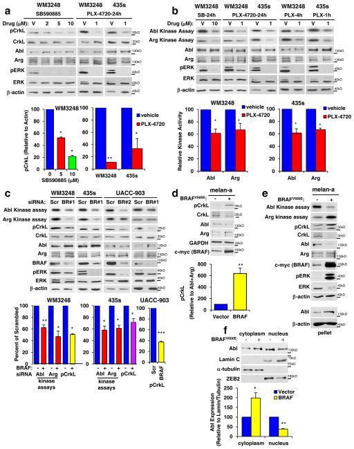 https://cdn.ncbi.nlm.nih.gov/pmc/blobs/5cad/5552414/d27560500c89/nihms855383f1.jpg