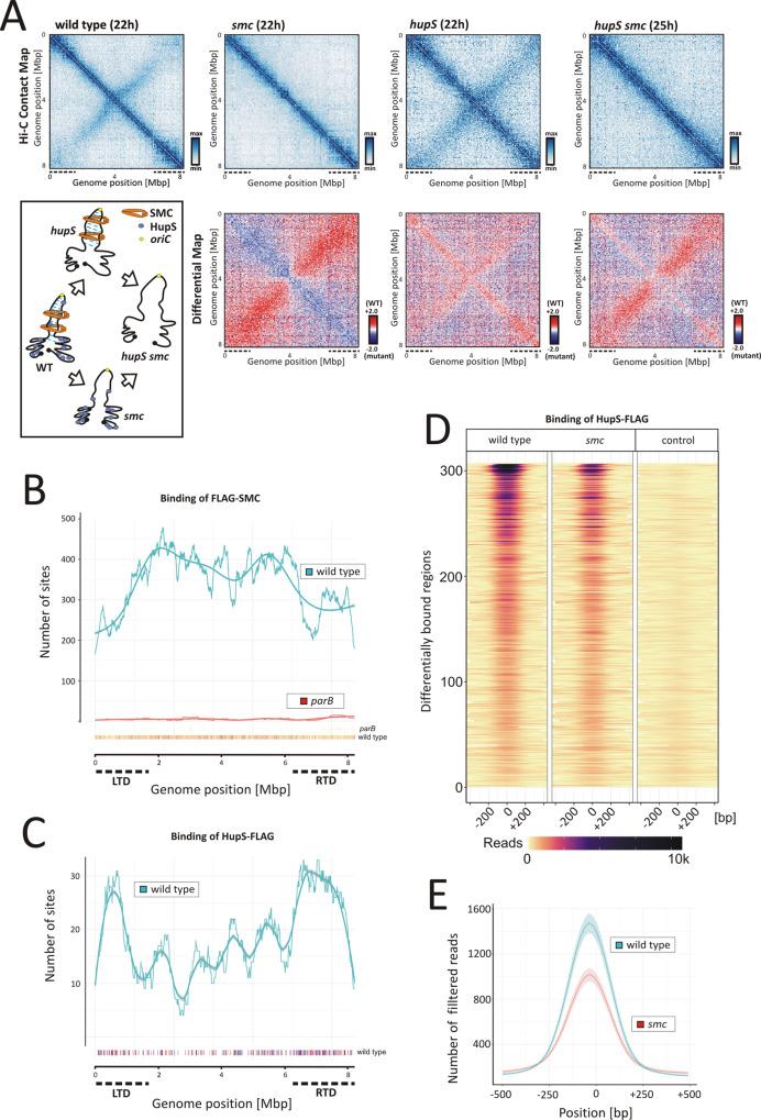 https://cdn.ncbi.nlm.nih.gov/pmc/blobs/5cad/8410768/3ce2267f84fb/41467_2021_25461_Fig3_HTML.jpg