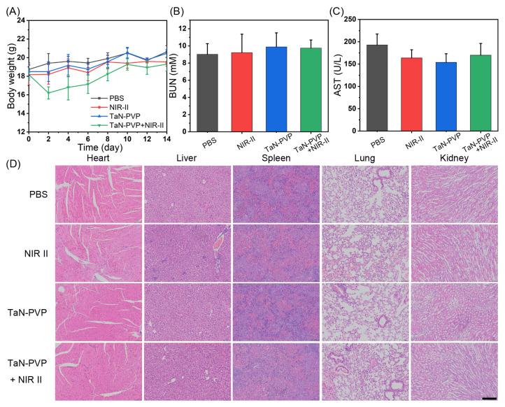 https://cdn.ncbi.nlm.nih.gov/pmc/blobs/5cae/10254667/18ab93ef65be/nanomaterials-13-01708-g006.jpg