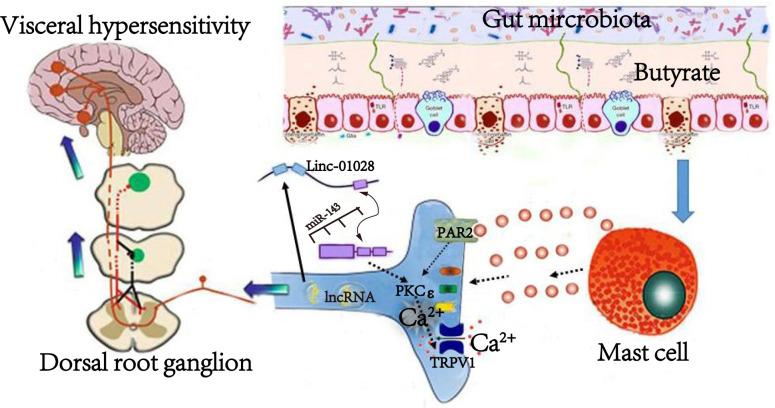 https://cdn.ncbi.nlm.nih.gov/pmc/blobs/5cae/11323730/3713207f266b/mbio.01533-24.f007.jpg