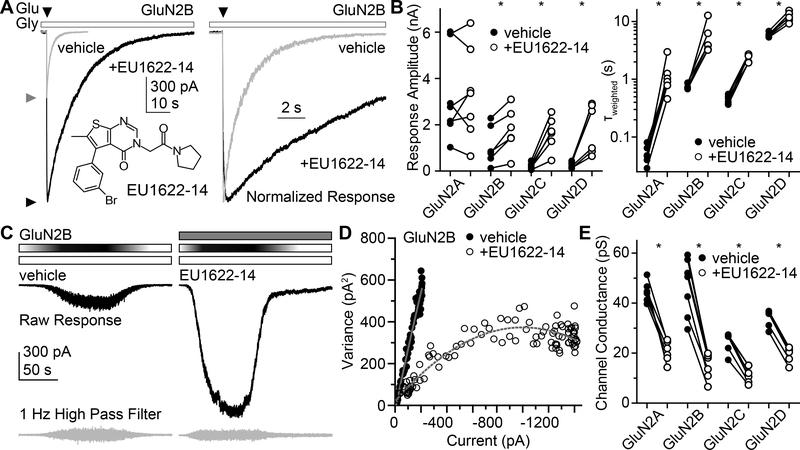 https://cdn.ncbi.nlm.nih.gov/pmc/blobs/5cae/6986806/9b198e1dcc08/nihms-1545792-f0003.jpg