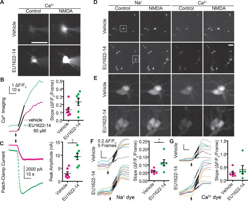 https://cdn.ncbi.nlm.nih.gov/pmc/blobs/5cae/6986806/e91e4b599cd6/nihms-1545792-f0006.jpg