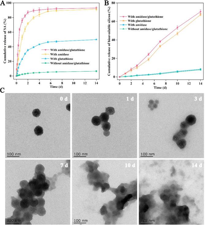 https://cdn.ncbi.nlm.nih.gov/pmc/blobs/5cb2/12057186/76b0a7438628/12951_2025_3416_Fig4_HTML.jpg
