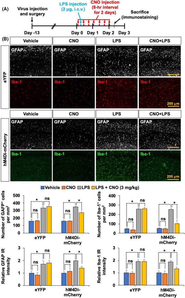 https://cdn.ncbi.nlm.nih.gov/pmc/blobs/5cb3/8532135/b8c5d3c09dbf/PRP2-9-e00822-g002.jpg