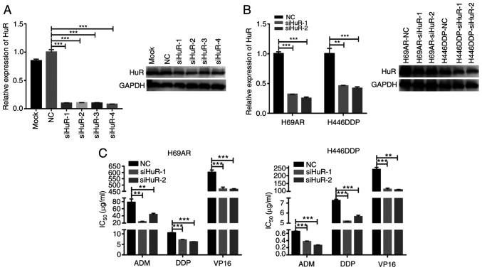 https://cdn.ncbi.nlm.nih.gov/pmc/blobs/5cb3/9468853/5467a84e4612/etm-24-04-11575-g01.jpg