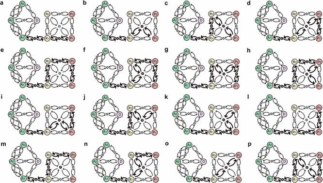 https://cdn.ncbi.nlm.nih.gov/pmc/blobs/5cb4/4537037/65d9f55802da/oncotarget-06-13607-g006.jpg