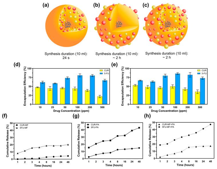 https://cdn.ncbi.nlm.nih.gov/pmc/blobs/5cb5/11768208/7dac40fddb8a/pharmaceutics-17-00095-g003.jpg
