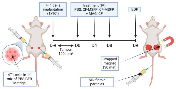https://cdn.ncbi.nlm.nih.gov/pmc/blobs/5cb5/11768208/f9c5ebb258c4/pharmaceutics-17-00095-g002.jpg