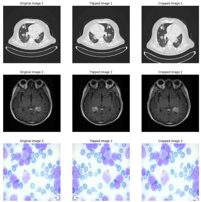 https://cdn.ncbi.nlm.nih.gov/pmc/blobs/5cb5/12402508/120d7795021a/41598_2025_15604_Fig7_HTML.jpg