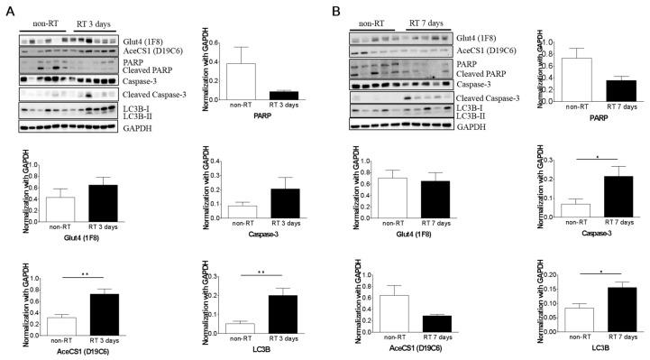 https://cdn.ncbi.nlm.nih.gov/pmc/blobs/5cb5/6150287/65347d2033e0/molecules-22-01946-g005.jpg