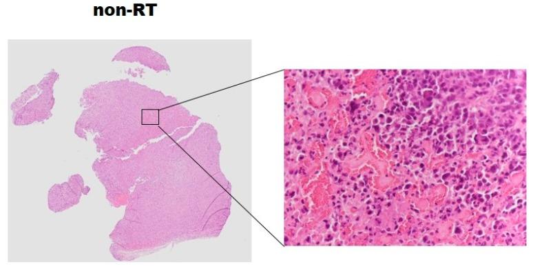 https://cdn.ncbi.nlm.nih.gov/pmc/blobs/5cb5/6150287/6a05f85a93db/molecules-22-01946-g006a.jpg