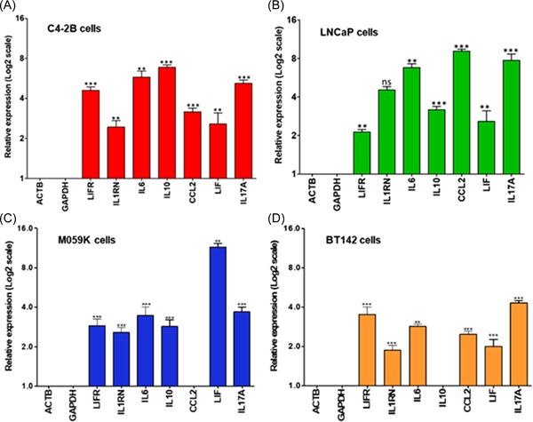 https://cdn.ncbi.nlm.nih.gov/pmc/blobs/5cb5/9544768/2ad0efdc0bf0/PROS-82-1389-g001.jpg