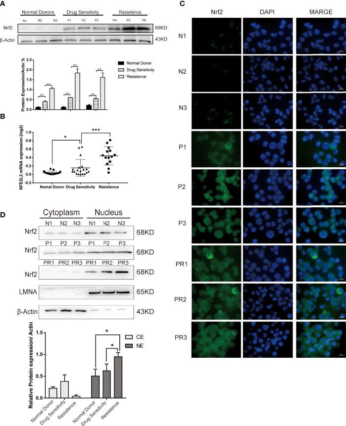 https://cdn.ncbi.nlm.nih.gov/pmc/blobs/5cbc/9134735/de7577cade4b/fonc-12-876556-g001.jpg