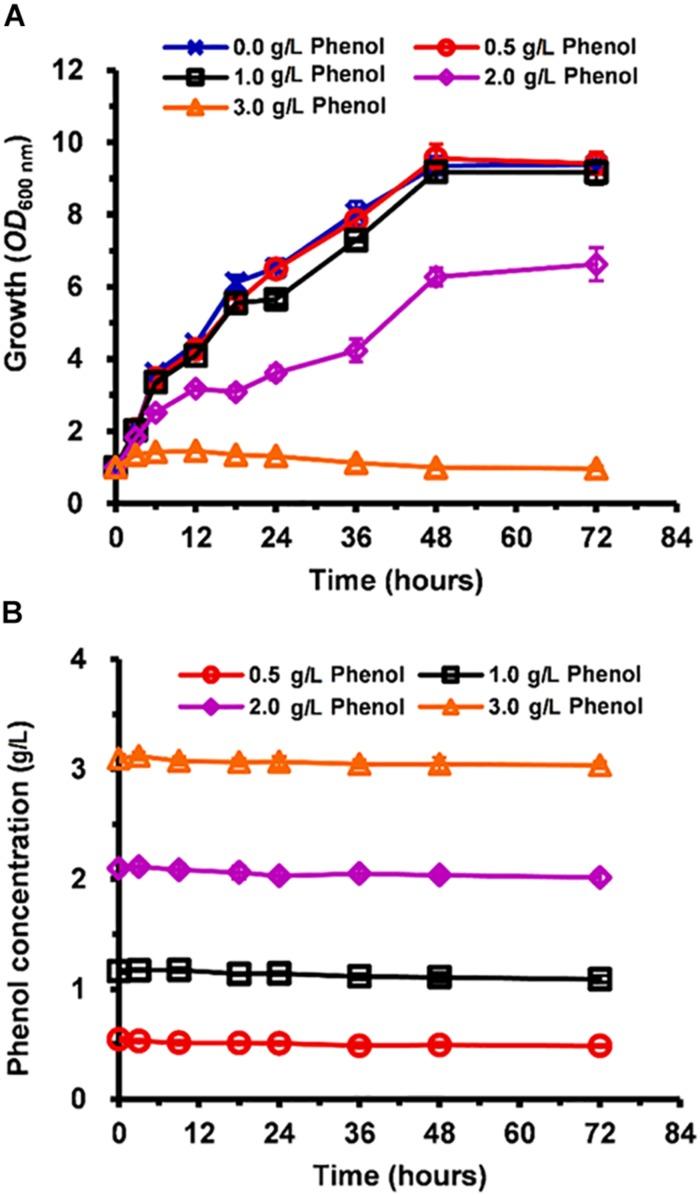 https://cdn.ncbi.nlm.nih.gov/pmc/blobs/5cc1/7179700/9be3d72fdf77/fmicb-11-00544-g001.jpg