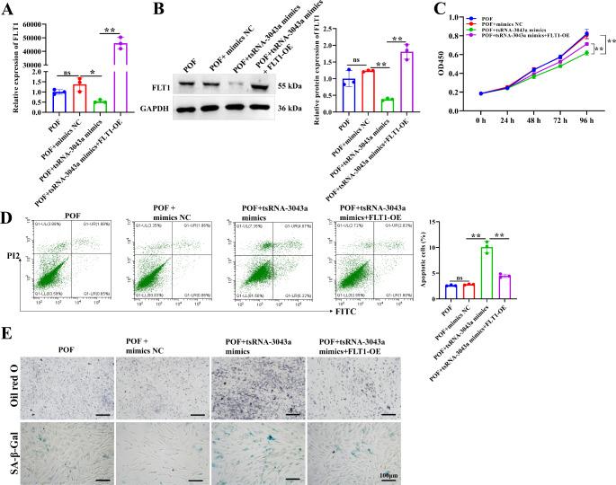 https://cdn.ncbi.nlm.nih.gov/pmc/blobs/5cc3/11568010/0b207c722234/10735_2024_10256_Fig8_HTML.jpg
