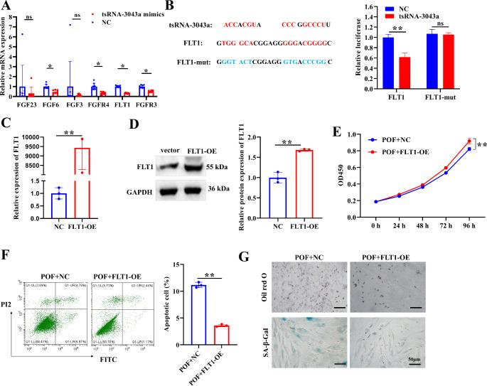 https://cdn.ncbi.nlm.nih.gov/pmc/blobs/5cc3/11568010/31dacaf8524c/10735_2024_10256_Fig5_HTML.jpg