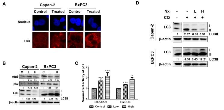 https://cdn.ncbi.nlm.nih.gov/pmc/blobs/5cc3/4058024/7f2f2e546947/oncotarget-05-2529-g001.jpg