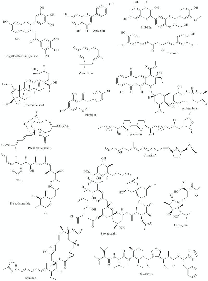 https://cdn.ncbi.nlm.nih.gov/pmc/blobs/5cc3/5345338/c18b26944e17/CG-18-106_F2.jpg