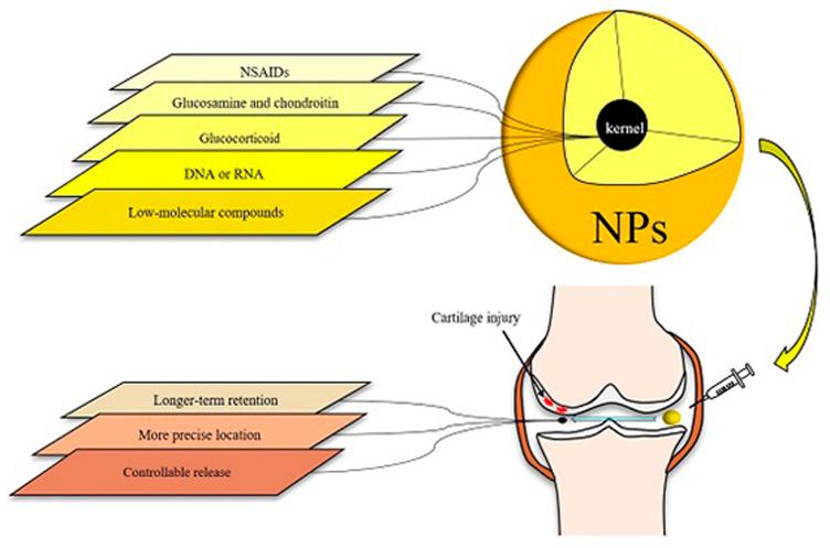 https://cdn.ncbi.nlm.nih.gov/pmc/blobs/5cc7/9394598/944cdd12a39c/fphar-13-920824-g002.jpg