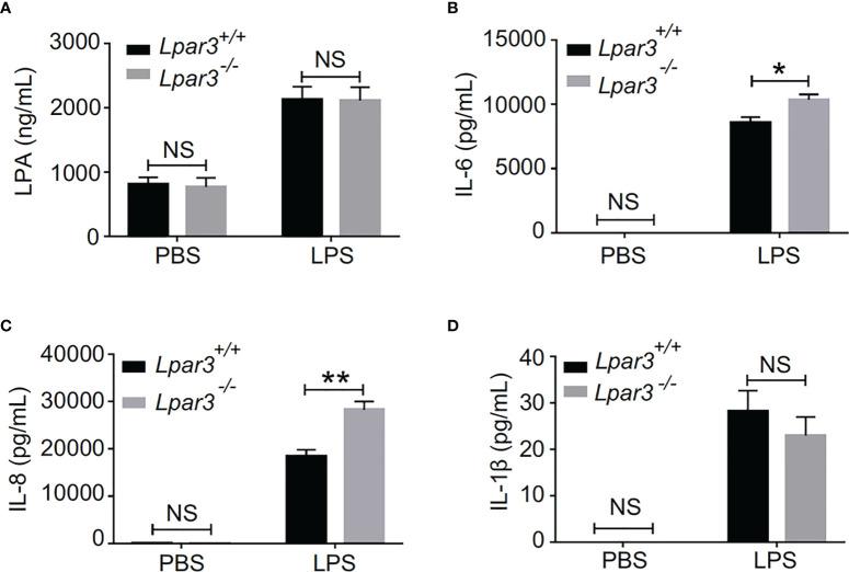https://cdn.ncbi.nlm.nih.gov/pmc/blobs/5cc9/9021375/2b6311553871/fimmu-13-844781-g005.jpg