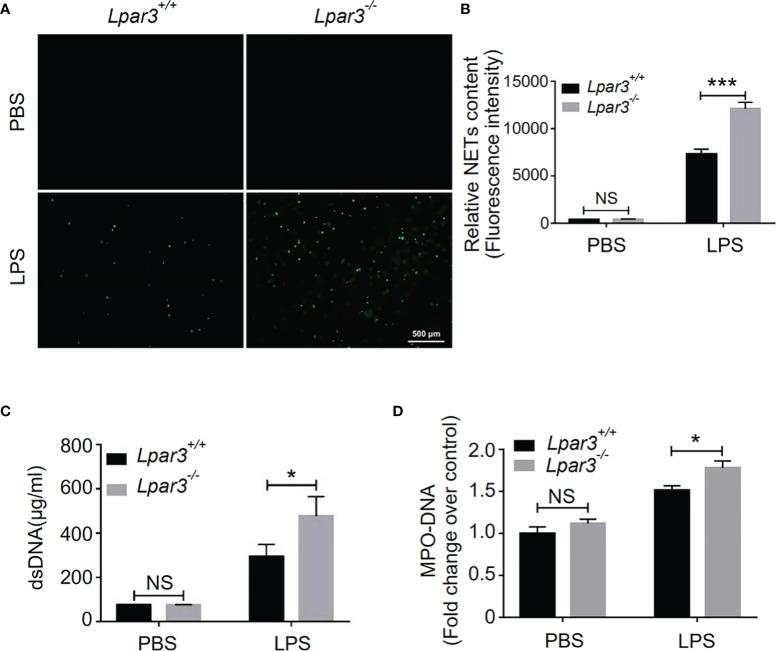 https://cdn.ncbi.nlm.nih.gov/pmc/blobs/5cc9/9021375/54cec53db88c/fimmu-13-844781-g003.jpg