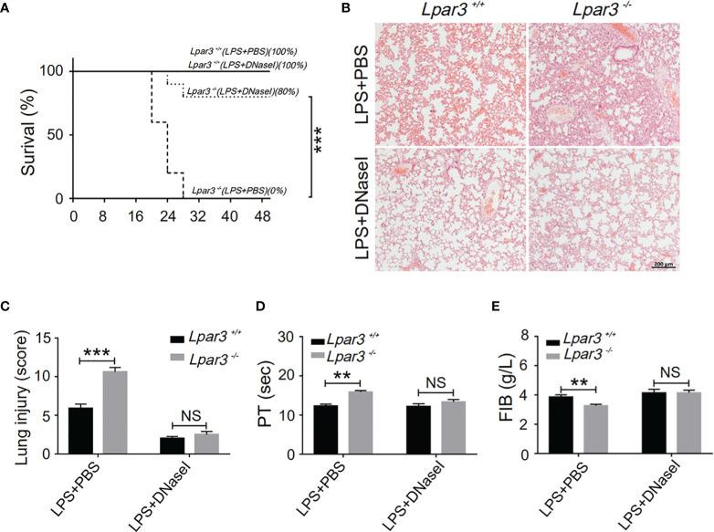 https://cdn.ncbi.nlm.nih.gov/pmc/blobs/5cc9/9021375/7f98a5f11511/fimmu-13-844781-g004.jpg