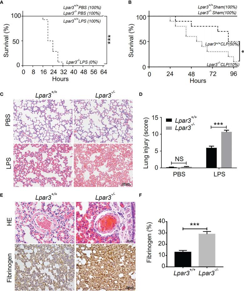 https://cdn.ncbi.nlm.nih.gov/pmc/blobs/5cc9/9021375/d20ac9122c50/fimmu-13-844781-g001.jpg