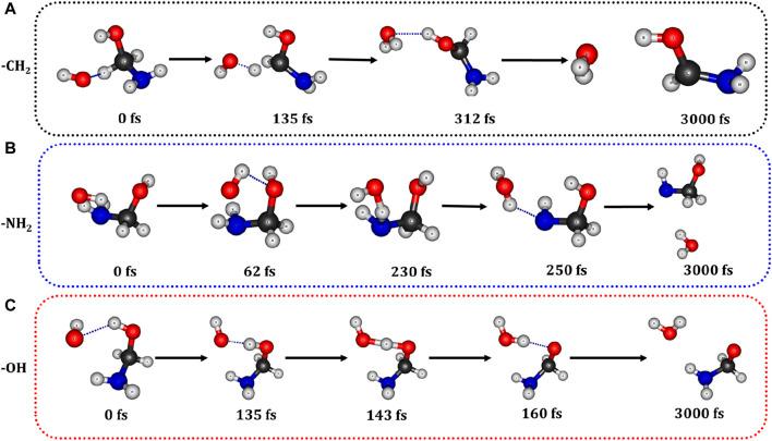 https://cdn.ncbi.nlm.nih.gov/pmc/blobs/5ccb/11169873/46f460087b4a/fchem-12-1407355-g009.jpg