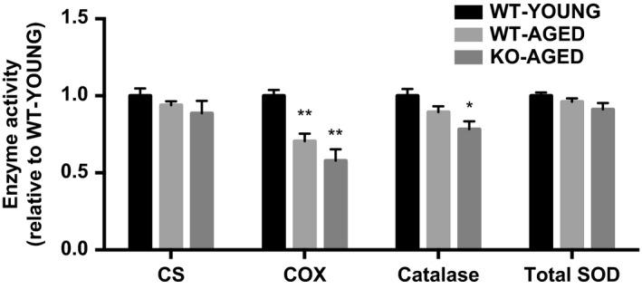 https://cdn.ncbi.nlm.nih.gov/pmc/blobs/5ccb/6372533/87bf67eb1063/PHY2-7-e13998-g004.jpg