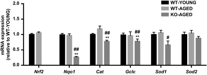 https://cdn.ncbi.nlm.nih.gov/pmc/blobs/5ccb/6372533/fafd1bc733e5/PHY2-7-e13998-g002.jpg