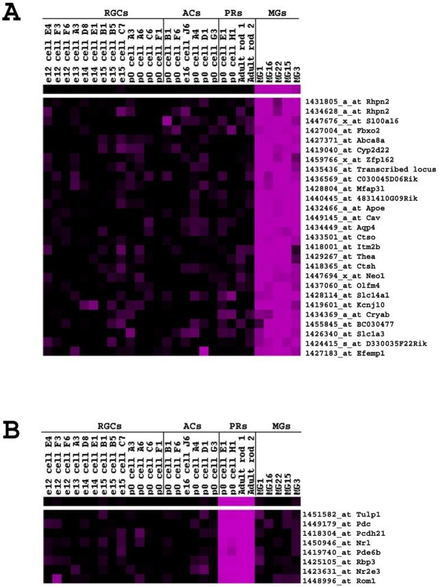 https://cdn.ncbi.nlm.nih.gov/pmc/blobs/5ccc/2665263/3bdf72d890ef/cne0509-0225-fu3.jpg