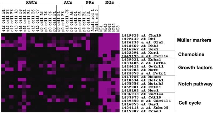 https://cdn.ncbi.nlm.nih.gov/pmc/blobs/5ccc/2665263/f89d91a4a640/cne0509-0225-fu4.jpg