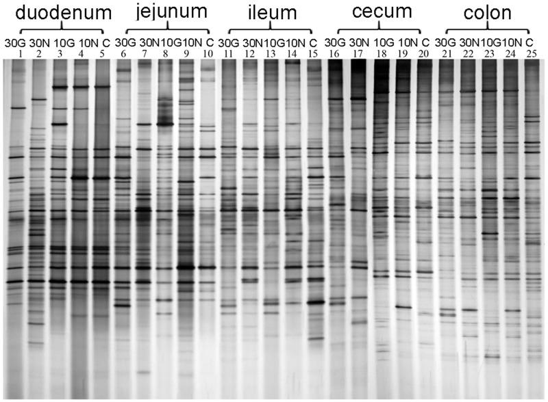 https://cdn.ncbi.nlm.nih.gov/pmc/blobs/5ccd/4954683/4be873f24862/pone.0159700.g005.jpg