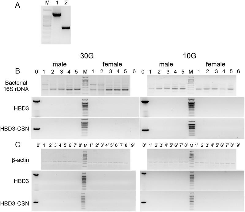 https://cdn.ncbi.nlm.nih.gov/pmc/blobs/5ccd/4954683/e9d00eec8c14/pone.0159700.g009.jpg