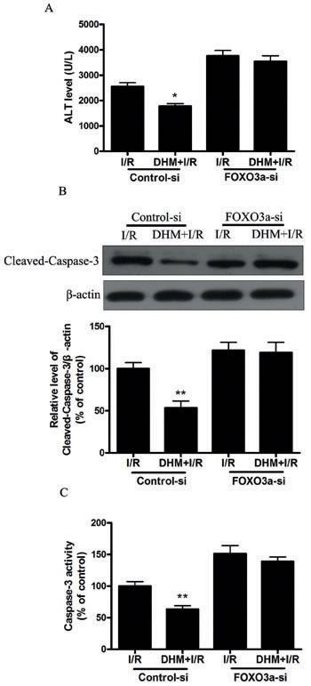 https://cdn.ncbi.nlm.nih.gov/pmc/blobs/5ccd/5363527/3fb29fcd5bc3/oncotarget-07-76508-g007.jpg