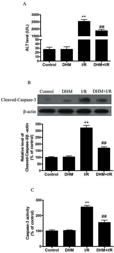 https://cdn.ncbi.nlm.nih.gov/pmc/blobs/5ccd/5363527/870238536726/oncotarget-07-76508-g001.jpg