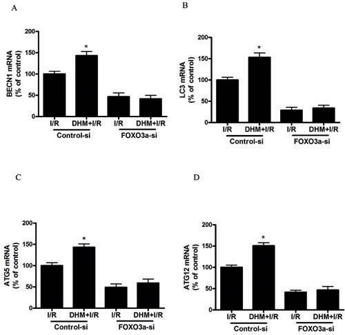 https://cdn.ncbi.nlm.nih.gov/pmc/blobs/5ccd/5363527/eacf6fd57417/oncotarget-07-76508-g006.jpg
