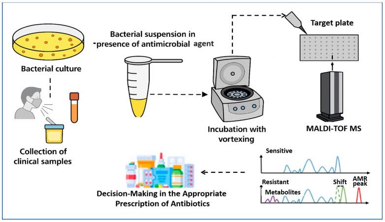 https://cdn.ncbi.nlm.nih.gov/pmc/blobs/5cce/12299549/cbb1528ab39b/microorganisms-13-01473-g002.jpg