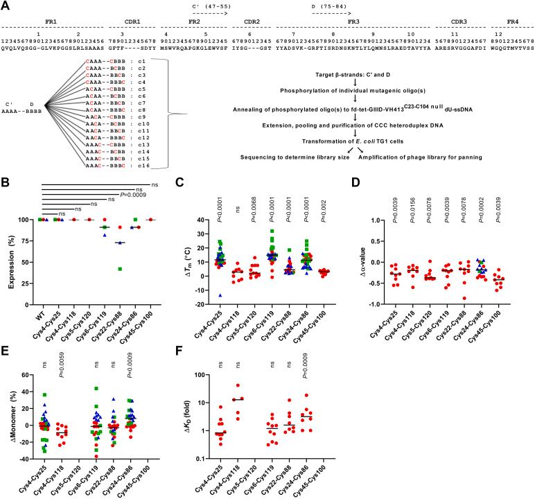 https://cdn.ncbi.nlm.nih.gov/pmc/blobs/5cd0/10641266/32b9cb11cfcd/gr2.jpg