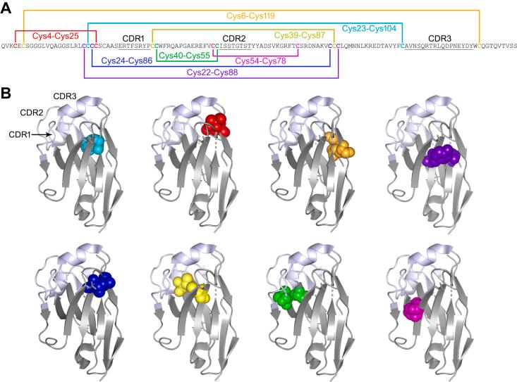 https://cdn.ncbi.nlm.nih.gov/pmc/blobs/5cd0/10641266/c33946235261/gr6.jpg