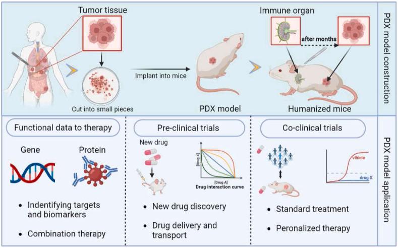 https://cdn.ncbi.nlm.nih.gov/pmc/blobs/5cd0/12082161/182a6b656488/gr1.jpg