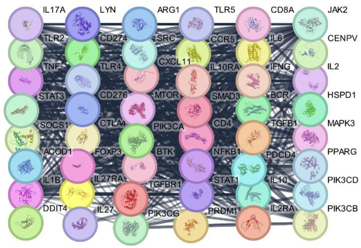 https://cdn.ncbi.nlm.nih.gov/pmc/blobs/5cd1/11432420/8709d8ddf6e8/ijms-25-10090-g007.jpg