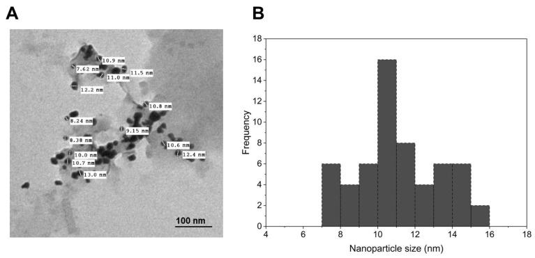 https://cdn.ncbi.nlm.nih.gov/pmc/blobs/5cd1/11432420/8a152c637c18/ijms-25-10090-g002.jpg