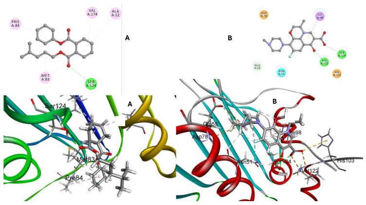 https://cdn.ncbi.nlm.nih.gov/pmc/blobs/5cd1/11432420/afefcacdd312/ijms-25-10090-g012.jpg