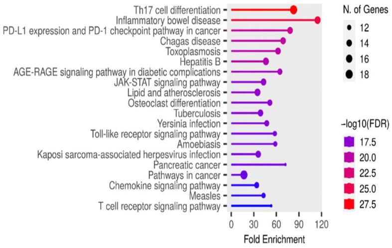 https://cdn.ncbi.nlm.nih.gov/pmc/blobs/5cd1/11432420/c13d43b70a3e/ijms-25-10090-g009.jpg