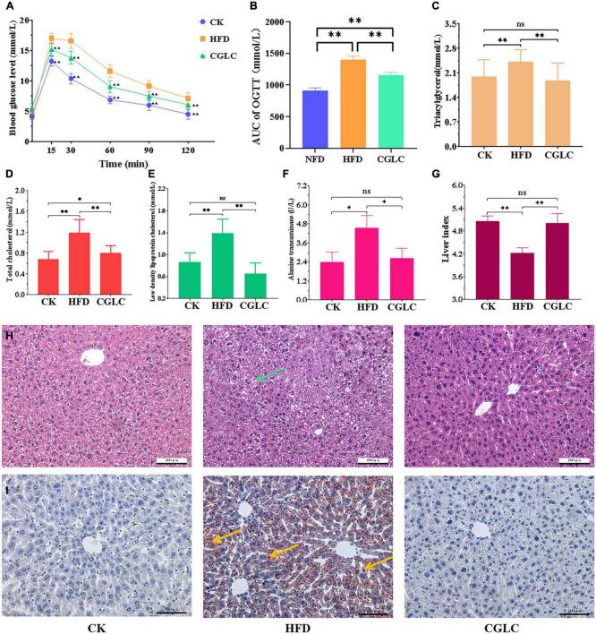 https://cdn.ncbi.nlm.nih.gov/pmc/blobs/5cd3/9667106/7c452da4857e/fnut-09-1038740-g002.jpg