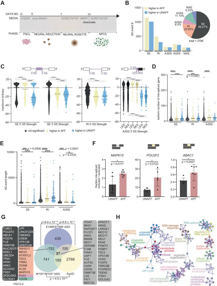 https://cdn.ncbi.nlm.nih.gov/pmc/blobs/5cd4/10884030/1062ceca0d24/41467_2024_45948_Fig3_HTML.jpg